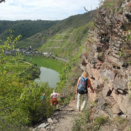 Weingut Pension Hammes-Krueger Еленц-Полтерсдорф Екстериор снимка
