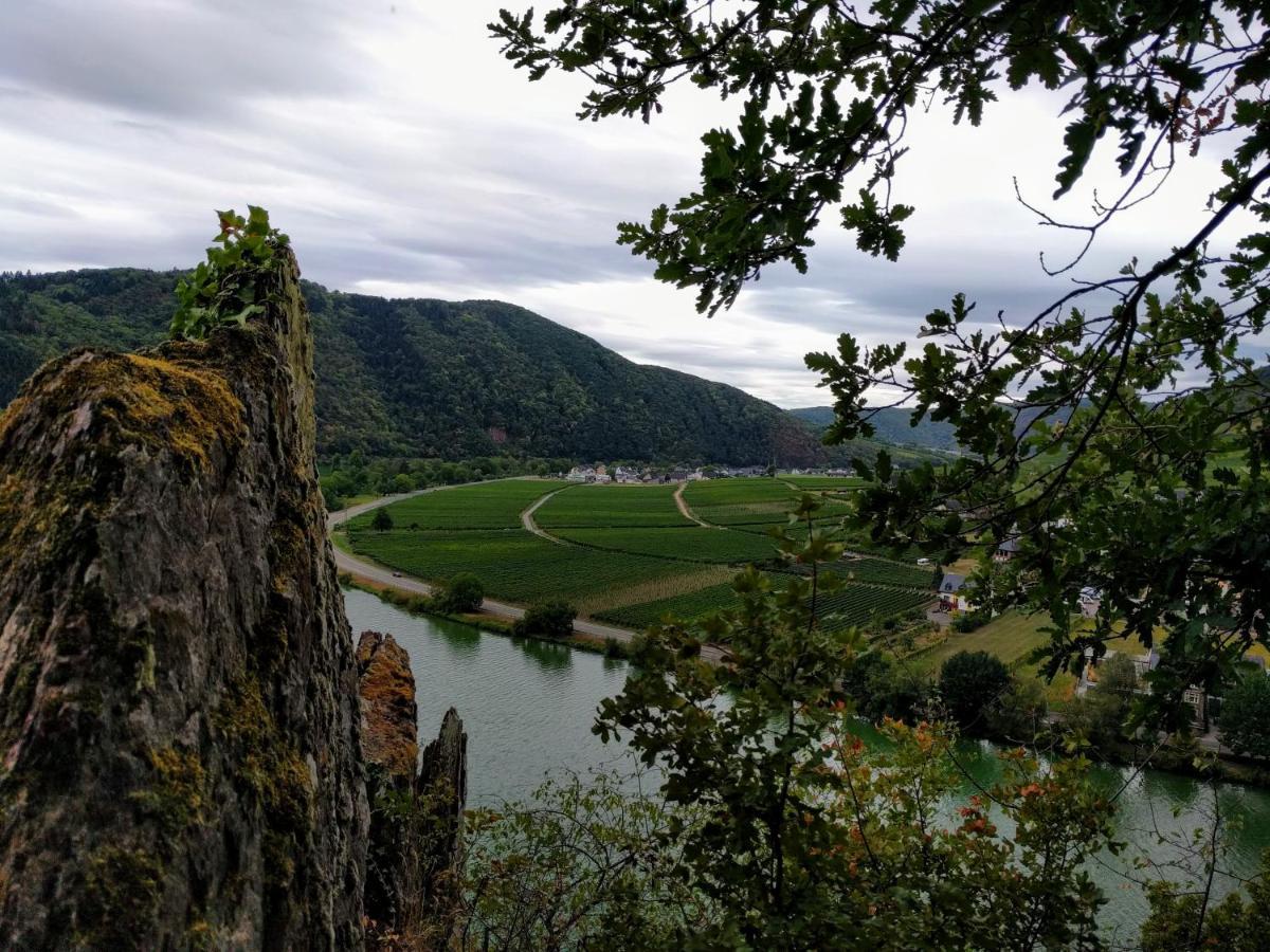Weingut Pension Hammes-Krueger Еленц-Полтерсдорф Екстериор снимка